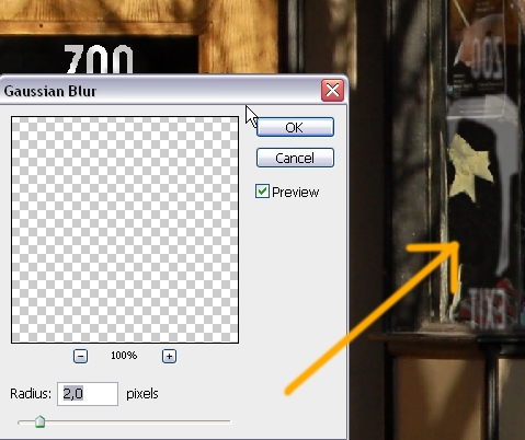 Creation of The Zoo!: Step 4